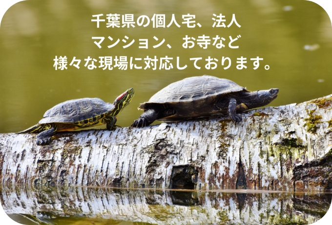 千葉県の個人宅、法人、マンション、お寺など様々な現場に対応しております。