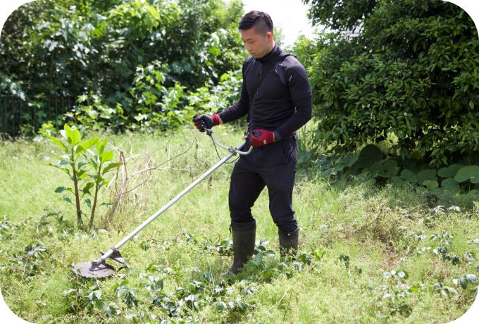 草木の伐採や、庭石処分撤去なども同時に対応