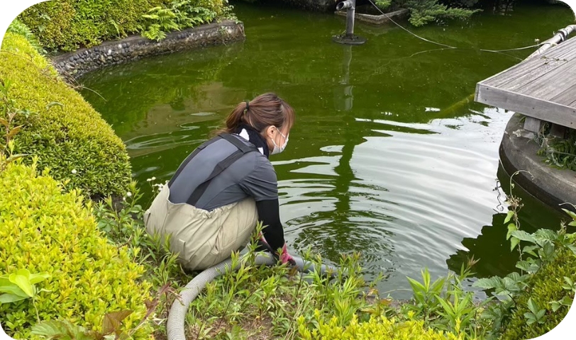 排水し池を空にする