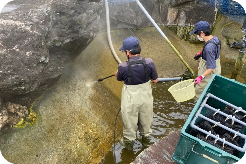 水を全て抜き、高圧洗浄